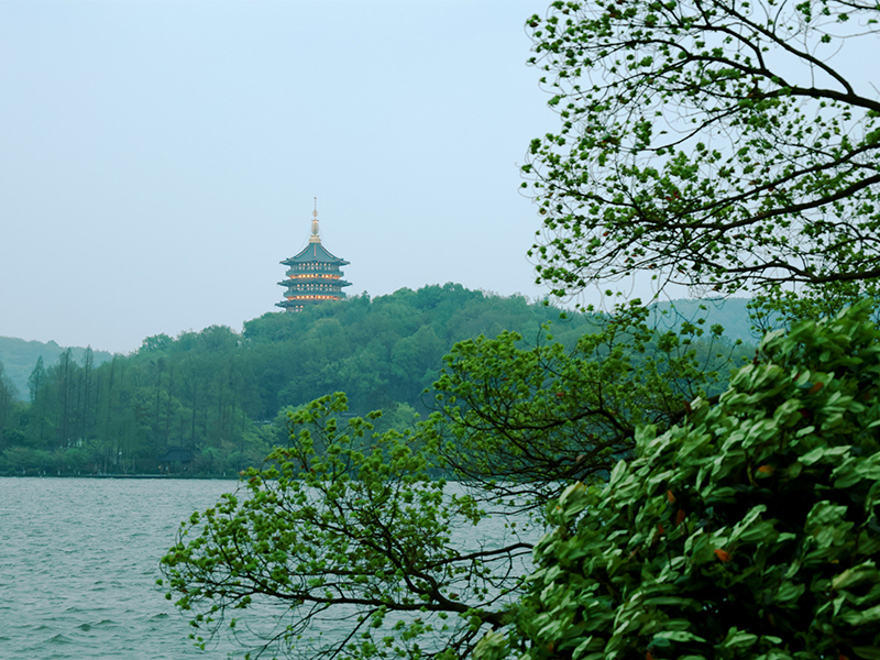 人文杭州，父母?jìng)儊?lái)了！河南礦山第十三屆孝文化感恩旅游節(jié)第三站